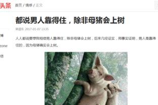 头条百科搞笑视频,笑料百出！头条百科搞笑视频盘点